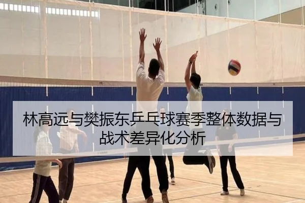 林高远与樊振东乒乓球赛季整体数据与战术差异化分析